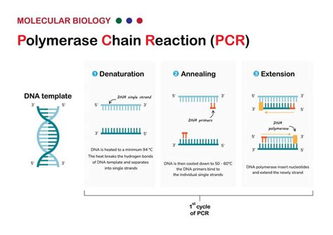 A Deep Dive Into the Technology of PCR Machines | MISUMI Mech Lab Blog