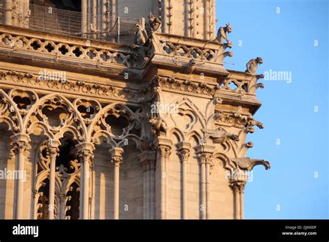 notre-dame cathedral in paris in france Stock Photo - Alamy