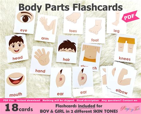 Body Parts Flashcards Printable Free Free Printable T - vrogue.co