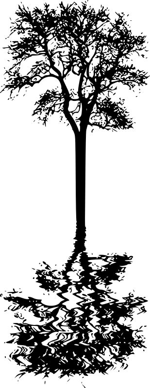 Tree reflection - Openclipart