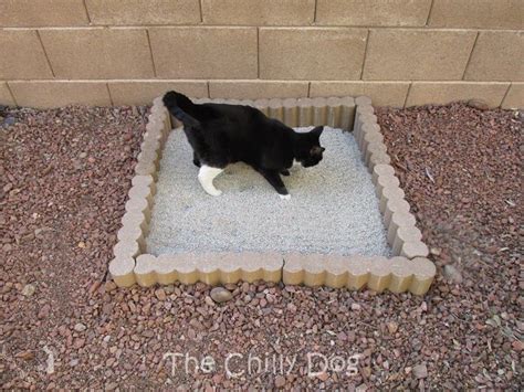 Tutorial: Outdoor Cat Litter Box | Outdoor cat enclosure, Outdoor cats, Cat enclosure