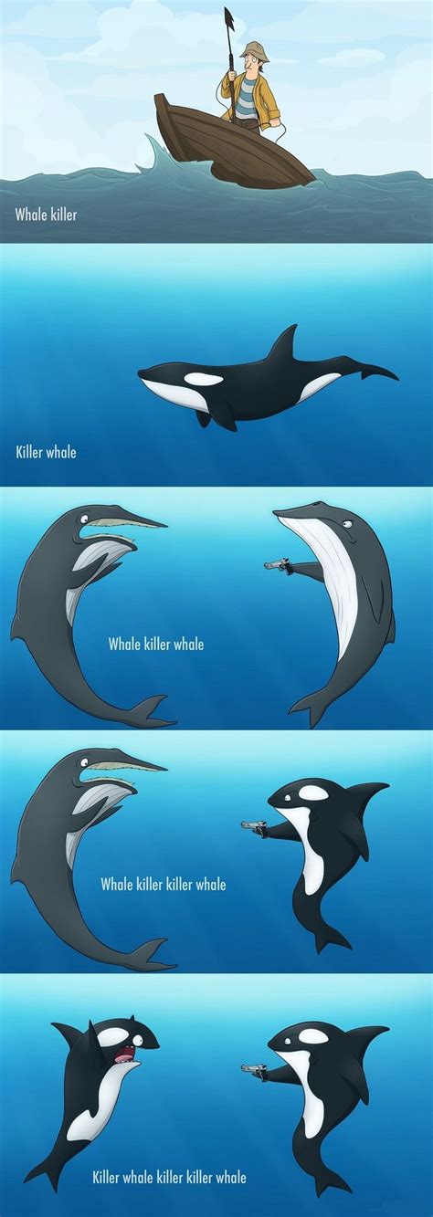 Killer Whale Orca Killer - Meme by Lucignolo :) Memedroid