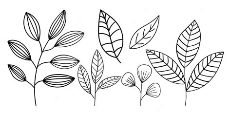 Premium Vector | A set of leaves on a white background.