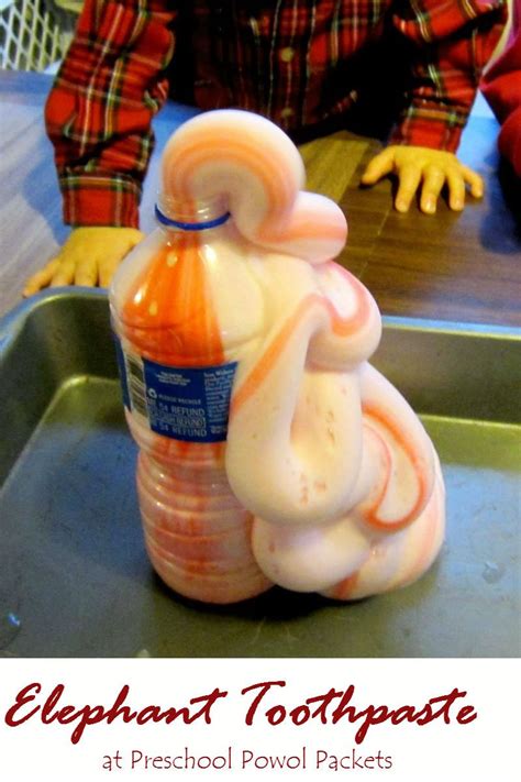 Science Experiment: Elephant Toothpaste | Science experiments kids, Science for kids, Elephant ...