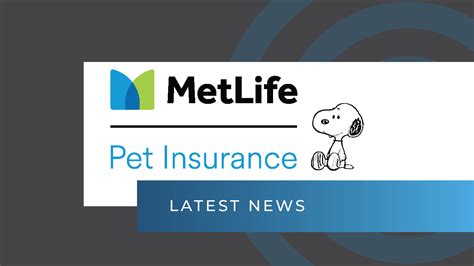 MetLife Pet Insurance Partners with Snoopy | License Global