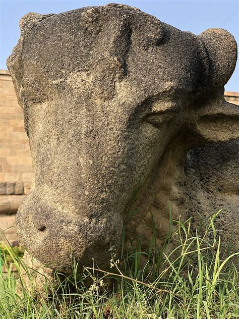 Nandhi Bull Sculpture At Brihadeeswarar Temple In Gangaikonda ...