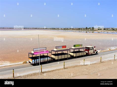 Tourist train visiting the salt lakes at the Torrevieja salt works, Torrevieja, Alicante, Spain ...