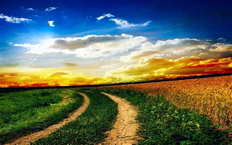 Nature Field Road | HD Wallpapers