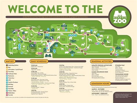 Memphis Zoo Visitors: Find Your Ideal Itinerary | StyleBlueprint