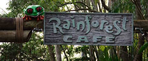 Rainforest Cafe - Animal Kingdom | Guide2WDW