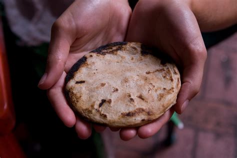 Go CoCoDA!: Salvadoran tortillas