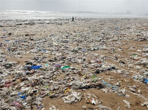 An Indian State Bans Plastic Bags, Straws And More. Will It Work ...