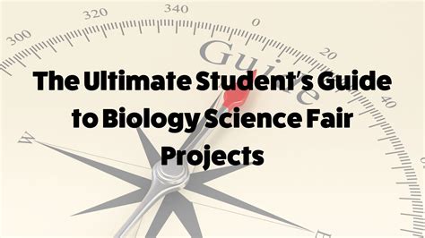 The Ultimate Student’s Guide to Biology Science Fair Projects — Inspirit AI