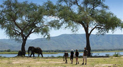 Hwange National Park - Zimbabwe - safari, camps and lodges