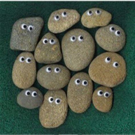 Googly eye pebbles | Pet rocks, Rock crafts, Googly eyes