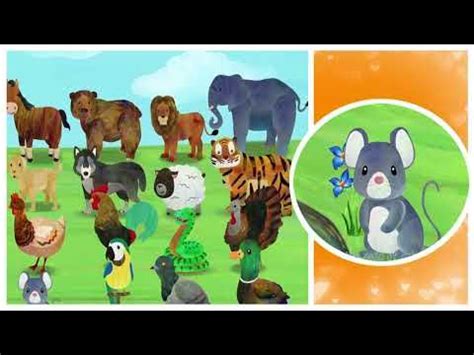 Animal Sounds Song (2D) | CoComelon Nursery Rhymes & Kids Songs ...