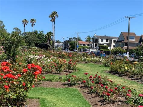 Parnell Rose Gardens (Auckland Central) - 2020 All You Need to Know ...