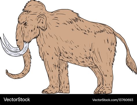 Woolly mammoth side drawing Royalty Free Vector Image