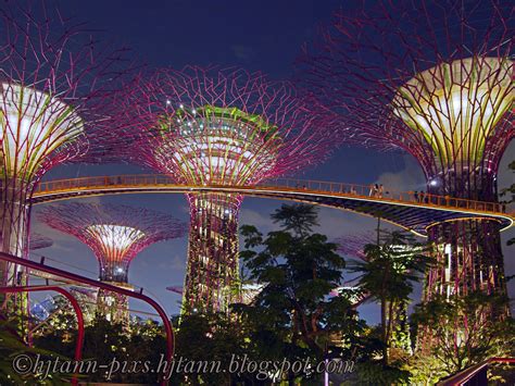 hjtann photo blog: Supertrees - Gardens by the Bay