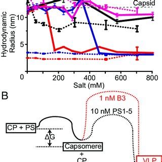 The roles of electrostatic interactions in assembly of capsomere and... | Download Scientific ...