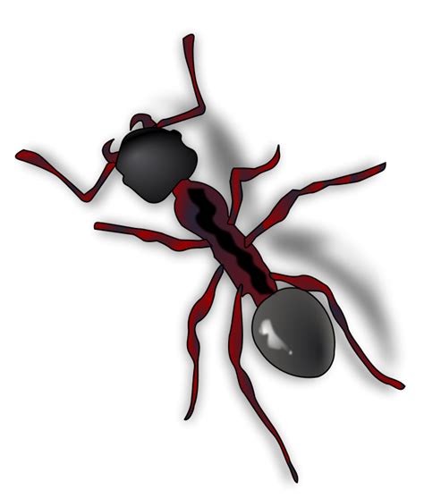 Pictures Of Ants For Kids - Cliparts.co