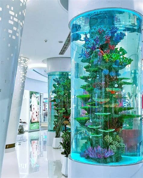 Incorporating Aquariums into Interior Design — RedFin Aquarium Design