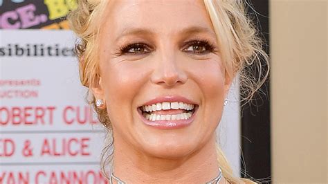 Britney Spears' Wellness Check False Alarm Fully Explained