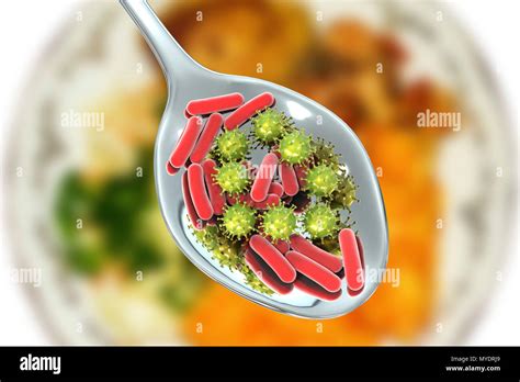 Microorganisms Food High Resolution Stock Photography and Images - Alamy