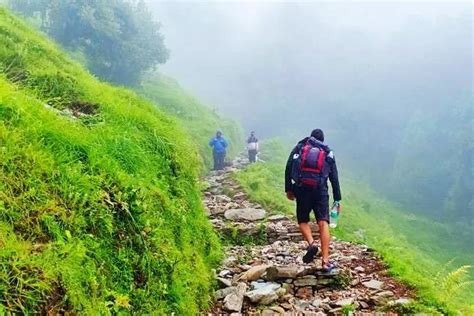 Offbeat Places|Homestays|Kalpeshwar Rudranath Temple Trek Places To Visit Urgam Valley