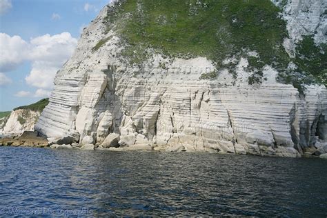 Dorset chalk cliffs photo WP16939