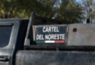 TRAC Profile: Cartel del Noreste / The Northeastern Cartel (CDN)