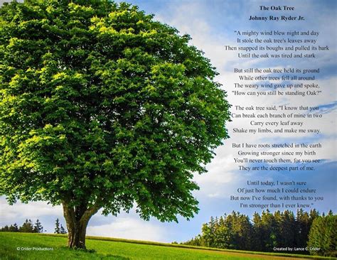 The Oak Tree Poem - Etsy