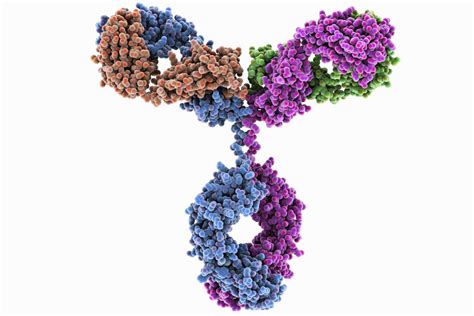 All About Proteins - Structure and Synthesis