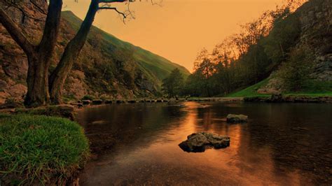 Green Tree Covered Rock Near Body Of Water During Evening Time HD ...