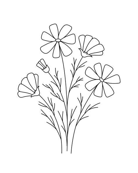 Cosmos flower drawings. Black and white with line art 6417934 Vector ...