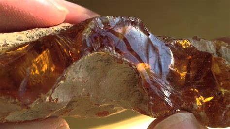 Real Fossilized Amber - YouTube