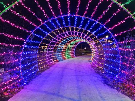 Top 15 Things To Eat | Winter Wonderland Holiday Lights At Wellfield Botanic Garden | NITDC