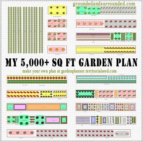 Vegetable Garden Layout