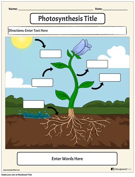 How plants make food | 5th grade Science Worksheet | GreatSchools ...
