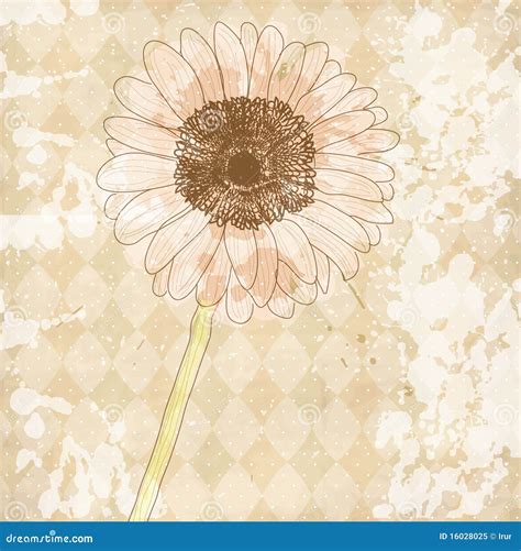 Vintage Old Paper Background With Flower Royalty Free Stock Photo - Image: 16028025