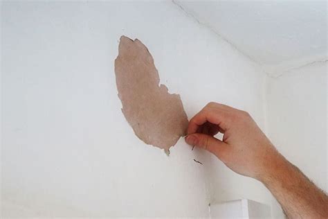 How to Repair Peeling Paint on Plaster Walls - Harris