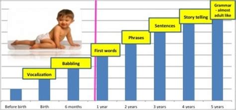 Language Development Stages - Spacotin