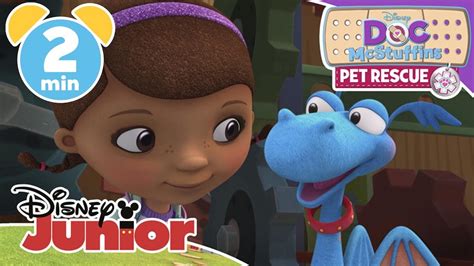 Doc McStuffins Pet Rescue | A Cuckoo Case | Disney JuniorUK - YouTube