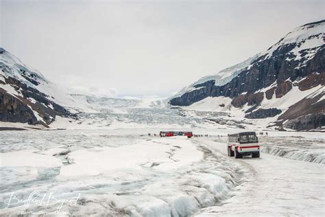 ice explorers at the columbia icefields glacier