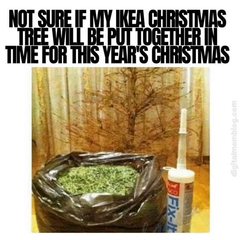 25 Funny Christmas Tree Memes For Sharing