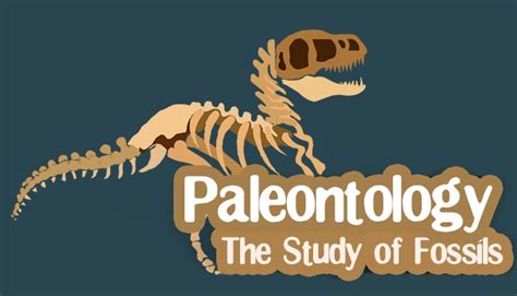 Paleontology - The study of Fossils - General Knowledge | Mocomi Kids