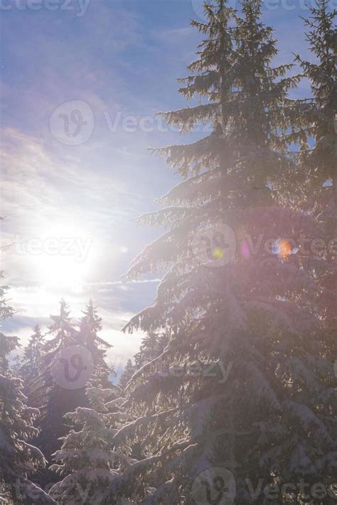 winter landscape in forest at sunset 10702387 Stock Photo at Vecteezy