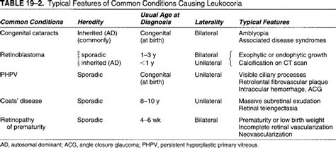 Leukocoria | Ento Key