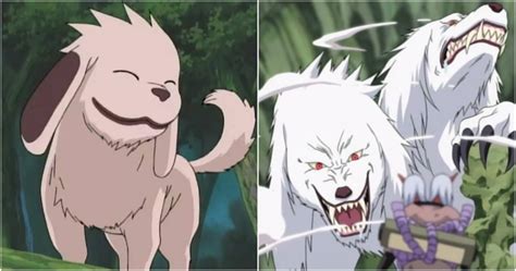 10 Adorable Anime Creatures That Are Secretly Horrifying