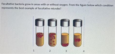 Solved Facultative bacteria grow in areas with or without | Chegg.com